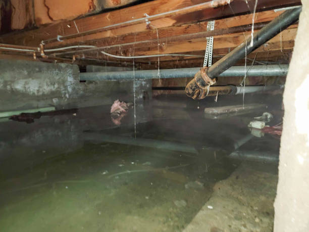Best 24/7 water damage repair  in Shasta, CA