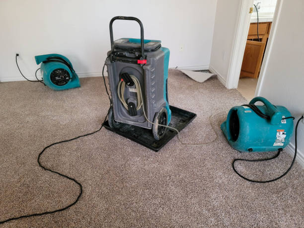  Shasta, CA Water damage restoration Pros
