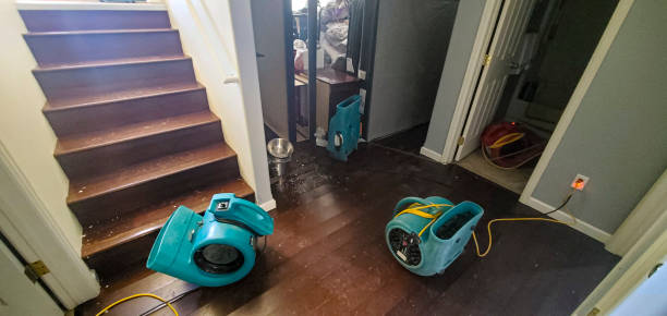 Best Local water damage restoration  in Shasta, CA