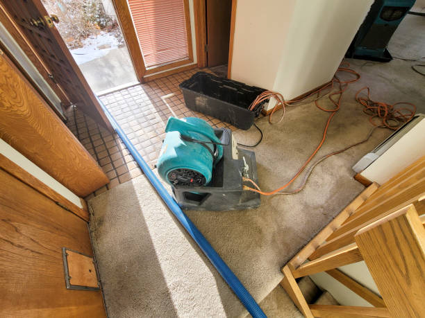 Best Professional water damage repair  in Shasta, CA