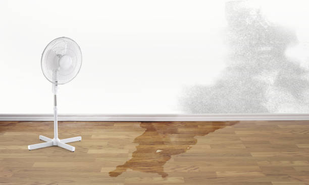 Best Water damage restoration near me  in Shasta, CA