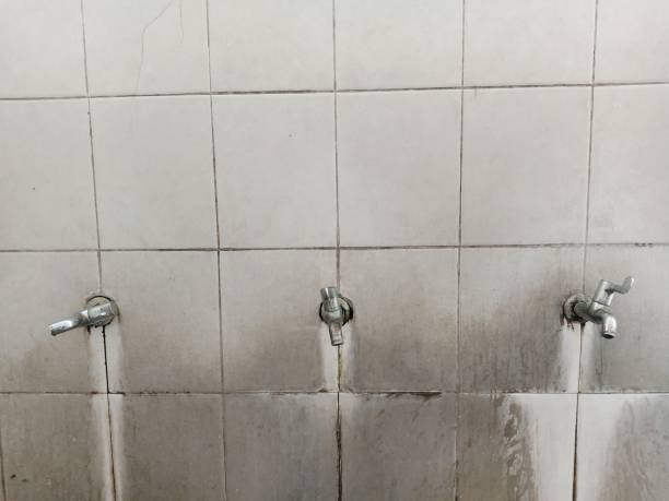 Best Water damage restoration experts  in Shasta, CA