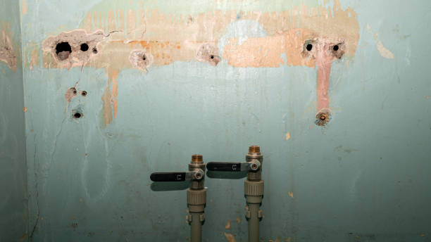 Best Ceiling water damage repair  in Shasta, CA