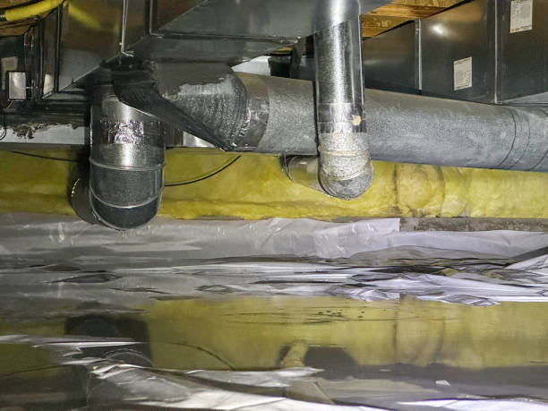 Best Carpet water damage restoration  in Shasta, CA