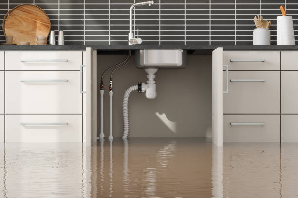Best Water damage contractors near me  in Shasta, CA